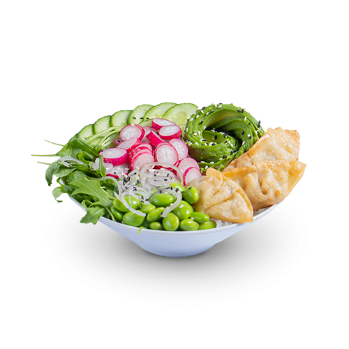 Poke Bowl Veggie