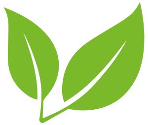 Feuille verte produit végé