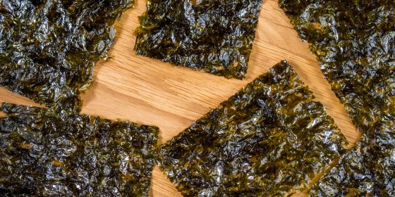 Tout comprendre sur l’algue Nori et ses bienfaits