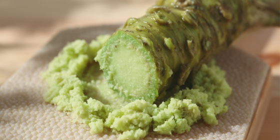 Comment est fait le wasabi ? Histoire & fabrication